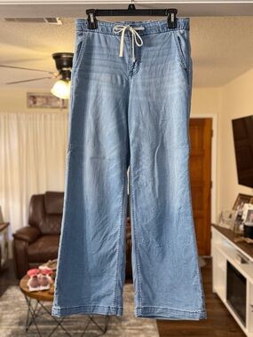 American Eagle Dreamy Drape Cozy Low-Rise Baggy Jeans